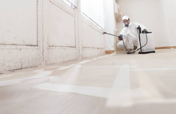 Black mold remediation team in Fairview